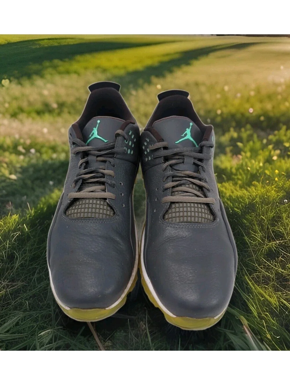 Jordan nike air